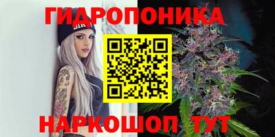 шишки Бугуруслан