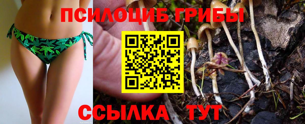 Томск  Галлюциногенные грибы мицелий  Галлюциногенные грибы мухоморы  Вход с VPN 
